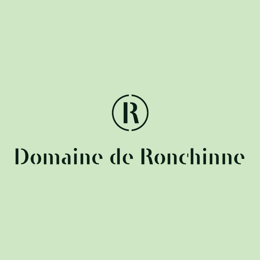 Domaine De Ronchinne - Insolites Maillen Zewnętrze zdjęcie